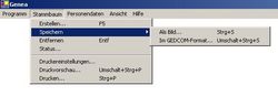Menüpunk Stammbaum - Speichern - Im GEDCOM-Format