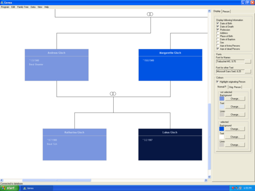 The Main Window is used to access all functions of Genea like entering data, creating and editing family trees, etc